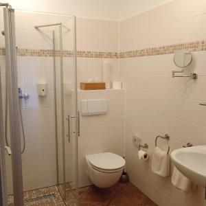 a bathroom with a shower and a toilet and a sink at Hotel Farchauer Mühle in Ratzeburg +45 photos