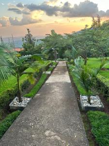 Ein Garten an der Unterkunft REBERO RESORT Ltd