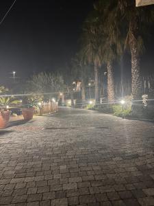 a cobblestone street with palm trees at night at B&B Dimora dell' Etna in Milo