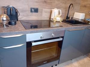 a kitchen with a counter top with a dishwasher at Superbe T1 - 10 min centre in Schiltigheim
