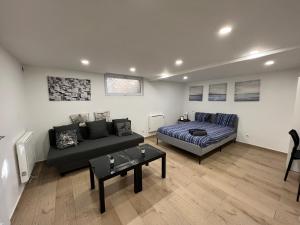 uma sala de estar com um sofá e uma cama em Grand F2 confortable em Saint-Denis