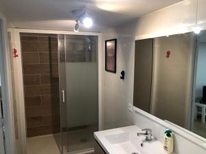 a bathroom with a shower and a sink and a mirror at Grand F2 confortable in Saint-Denis