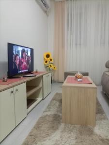 a living room with a tv and a table at JelaLux in Gornja Toplica