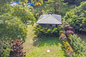 a small house in the middle of a garden at 3 Rivers Eco Lodge in Rosalie +168 photos