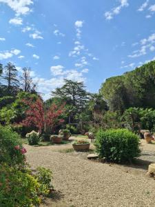 un jardín con flores y árboles en un día soleado en Agriturismo Villa La Fontina, en Castiglion Fiorentino
