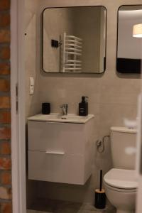 y baño con lavabo, aseo y espejo. en 2 Apartament Miętowy Rumianek en Lwówek