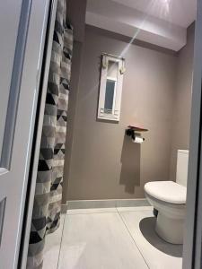 サンタマン・レゾーにあるLa maison du bonheur 70 m²のバスルーム(トイレ、鏡付) +27枚の写真