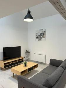 sala de estar con sofá y TV en La maison du bonheur 70 m², en Saint-Amand-les-Eaux