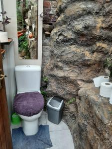 uma casa de banho com um WC e uma parede de pedra em Green room em Knysna