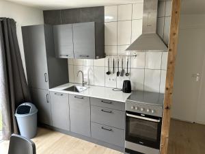 Een keuken of kitchenette bij Bospark Wolfsven - BPW 1110