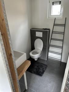 een kleine badkamer met een toilet en een ladder bij Bospark Wolfsven - BPW 1110 in Mierlo