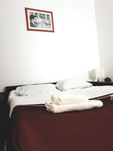 Postel nebo postele na pokoji v ubytování Vatican Giuliana Apartment 38
