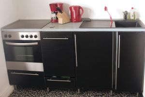 una cucina con fornelli e lavello di Ferienwohnung Bambushain Nieder-Olm a Nieder-Olm