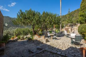 a patio with a table and chairs and a tree at Finca Es Castell in Binibona