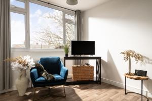 a living room with a blue chair and a tv at Dreamwood - Woodland Cottage with Private Hot Tub in Blandford Forum