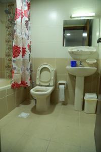 a bathroom with a toilet and a sink at Miami Hotel Apartment in Sharjah