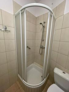 a bathroom with a shower and a toilet at Pensjonat Południe in Wieliczka