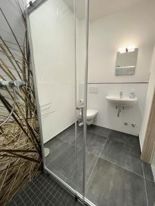 a bathroom with a shower and a sink at GPHotel/Boardinghaus in Leverkusen