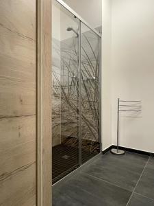 a glass shower door in a bathroom with a painting at GPHotel/Boardinghaus in Leverkusen