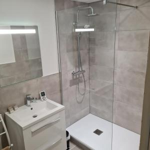 a bathroom with a shower and a sink at Gite Les Mouettes Blessées in Le Crotoy +1 photo