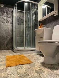 een badkamer met een douche, een toilet en een wastafel bij Leilighet ved porten til Senja. in Finnsnes