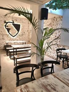 um restaurante com mesas e cadeiras e uma planta em Hotel B&N em Mar del Plata