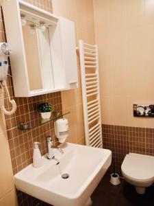 a bathroom with a sink and a toilet at Nova Galerija Studio Vita i Apartman Sara in Zagreb