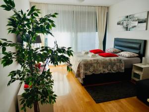 Postel nebo postele na pokoji v ubytování Nova Galerija Studio Vita i Apartman Sara -parking in garage
