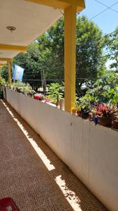 Balkoni atau teres di Hotel Los Chow Chow