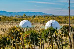 dos domos en un viñedo con flores en un campo en Chateau Vartsikhe en Varts'ikhe