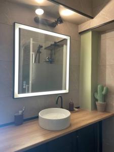 ein Badezimmer mit einem weißen Waschbecken und einem Spiegel in der Unterkunft Appartement cœur du centre-ville in Avignon