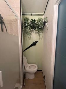 ein Badezimmer mit einem WC und einem Regenschirm an der Wand in der Unterkunft Appartement cœur du centre-ville in Avignon