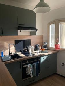 eine Küche mit einer Spüle und einem Herd Top-Backofen in der Unterkunft Appartement cœur du centre-ville in Avignon