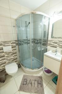 a bathroom with a shower and a toilet and a rug at Ostoja in Turawa