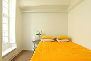 Luxurious Apartment in Le Marais