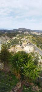 vista aerea di un edificio con una palma di La casa di Zia Ada a Bovalino Superiore