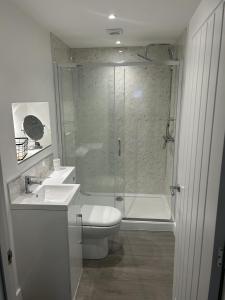 a bathroom with a shower and a toilet and a sink at Lovely 1-Bed Apartment in Glastonbury in Glastonbury