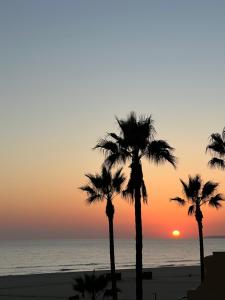 een groep palmbomen op het strand bij zonsondergang bij Retiro do Sossego in Sagres