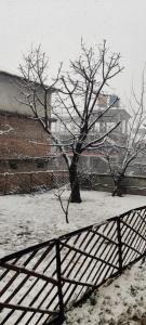 una cerca cubierta de nieve con un árbol frente a un edificio en The Homstel Manali, en Manali