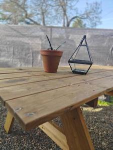 una mesa de picnic de madera con una maceta. en T2 à proximité des commerces - 1 à 4 pers -, en Langon