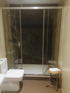 ein Bad mit einer Dusche, einem WC und einem Stuhl in der Unterkunft Hostal Residencia Fernandez in Madrid