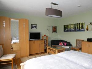 1 dormitorio con 1 cama y TV de pantalla plana en Ferienwohnung "Waldblick" en Bad Liebenstein