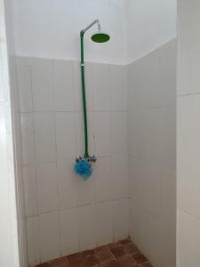 a shower with a green hose in a bathroom at EAST SANDBANK apartment eco-friendly Nungwi airport road in Nungwi