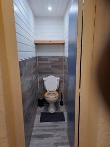 Cette petite chambre comprend une salle de bains pourvue de toilettes. dans l'établissement Appartement centre ville de la mure, à La Mure