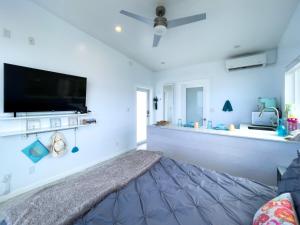 TV a/nebo společenská místnost v ubytování Mika's Resort