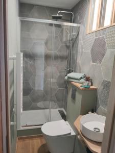ein Bad mit einer Dusche, einem WC und einem Waschbecken in der Unterkunft Superbe T2 neuf dans maison de maitre hyper centre in Épinal