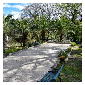 un banco en un parque con palmeras en Le Mas de la Palmeraie - Mas 3 dans propriété privée au calme avec piscine et tennis, en Bormes-les-Mimosas