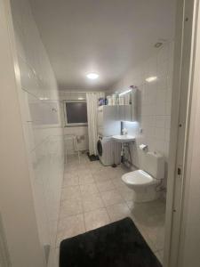 ein Bad mit einem WC und einem Waschbecken in der Unterkunft Central Peaceful Villa, Malmö in Malmö