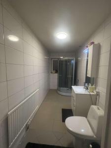 uma casa de banho com um WC e um lavatório em Central Peaceful Villa, Malmö em Malmo