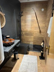 y baño con ducha, aseo y lavamanos. en Mountain Lodge T3 Duplex Abrigo do Lobo en Covilhã